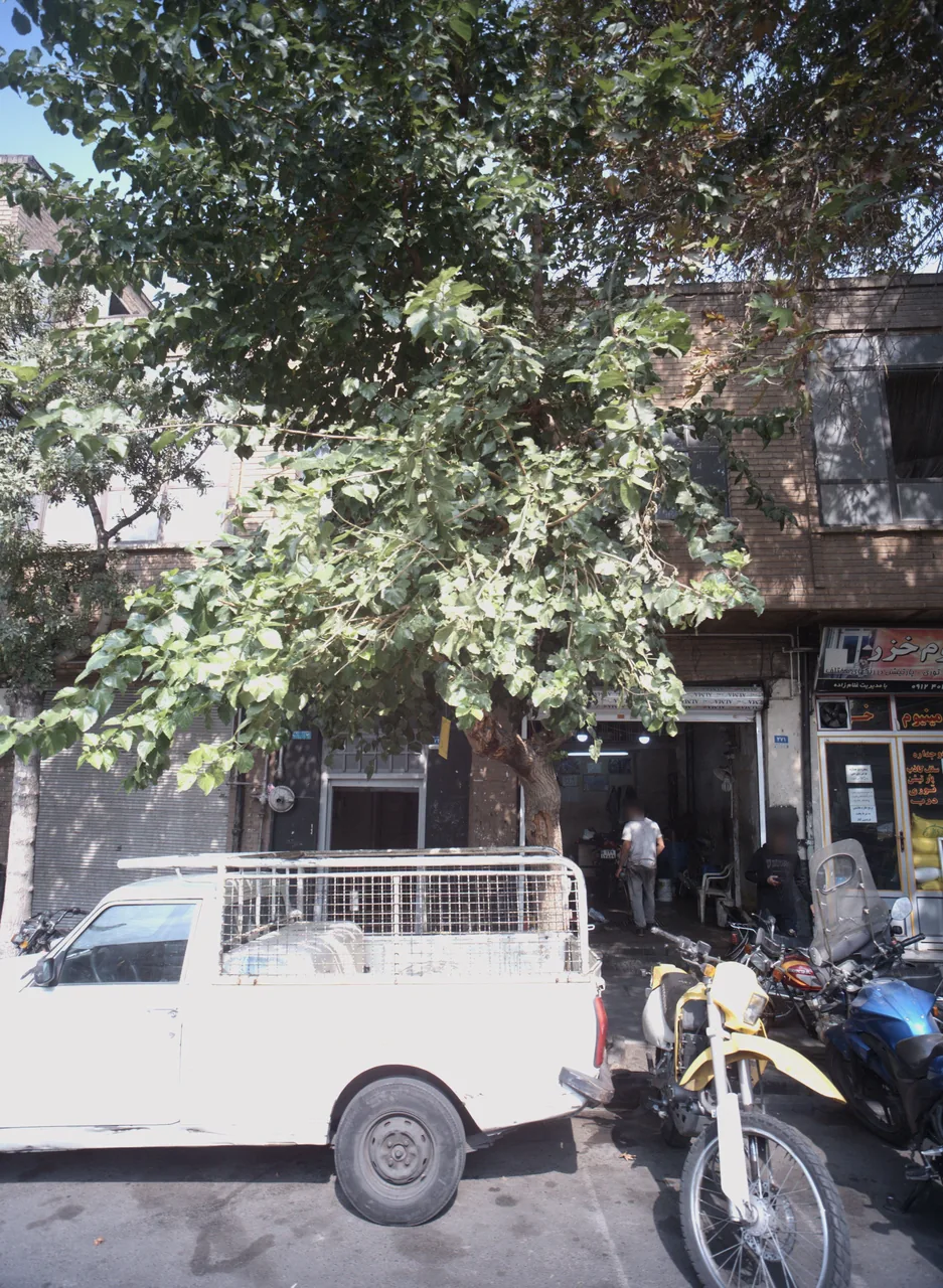 تعمیرگاه موتور