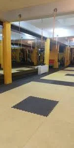 آکادمی کاراته اندیسی