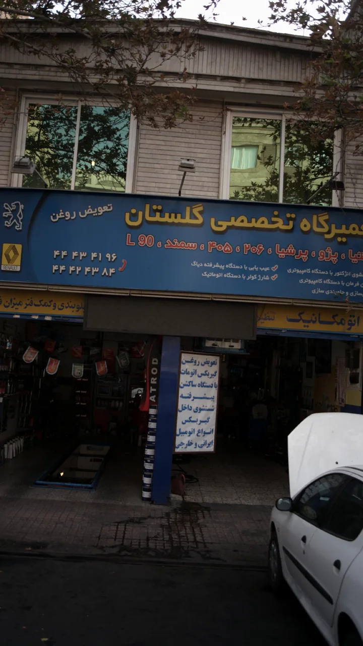 تعمیرگاه تخصصی گلستان