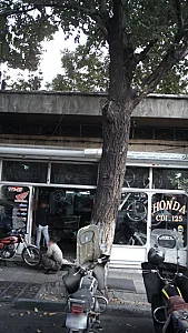 مکانیکی علی