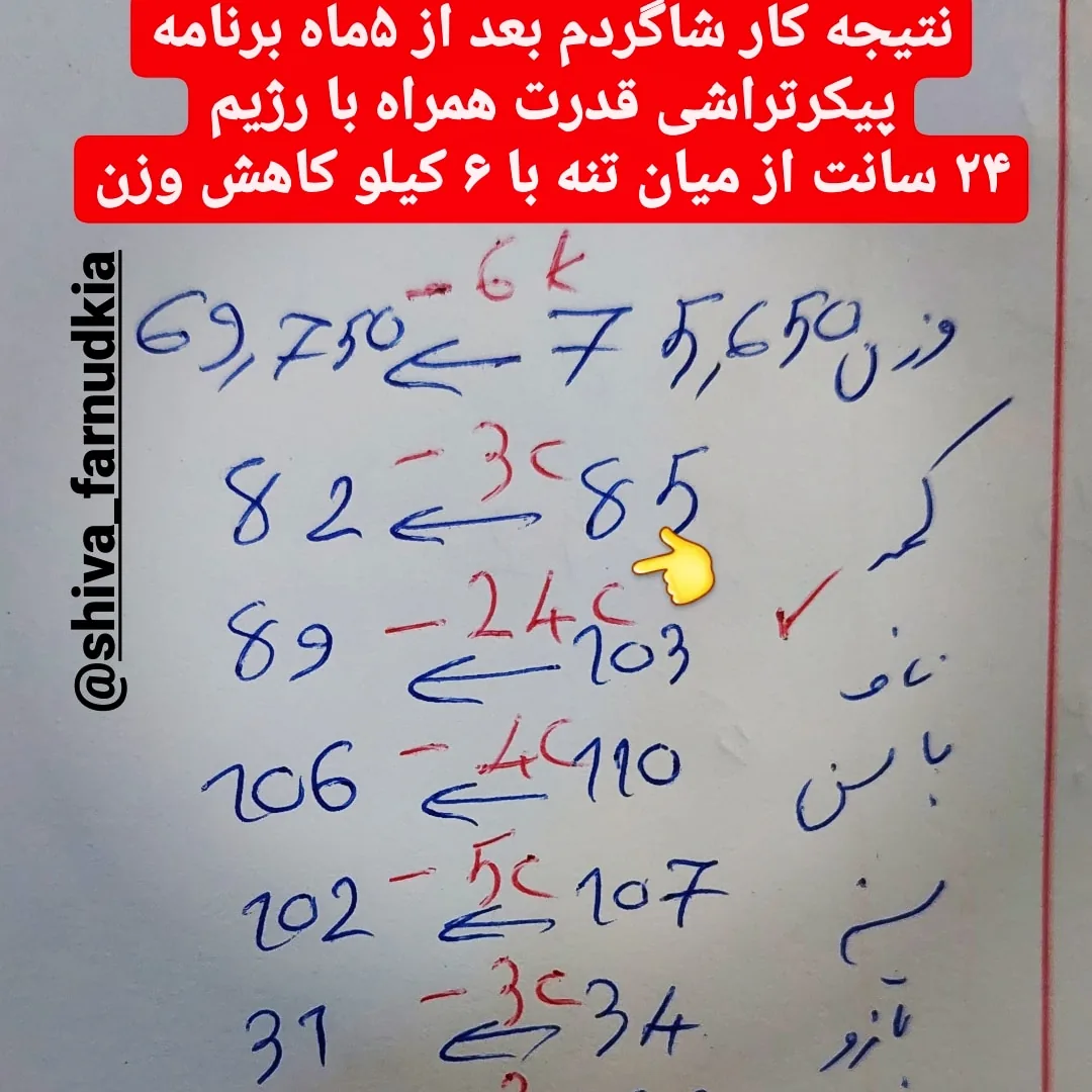 باشگاه بدنسازی ایرانیان - تصویر 5