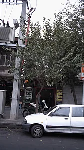 تعمیرگاه موتورسیکلت محسن