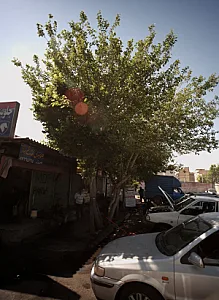 جلوبندی و کمک فنر سازی بهروز
