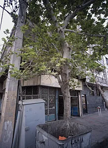 تعمیرگاه خودرو