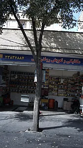 مکانیکی و تعویض روغنی علی