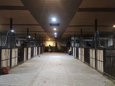 باشگاه سوارکاری یاران