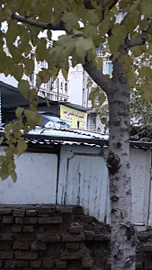 تعمیر گاه تخصصی جم