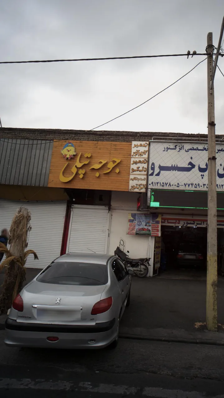 جوجه تپلی - تصویر 2