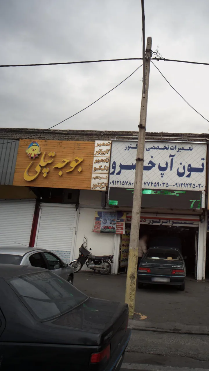 جوجه تپلی - تصویر 3