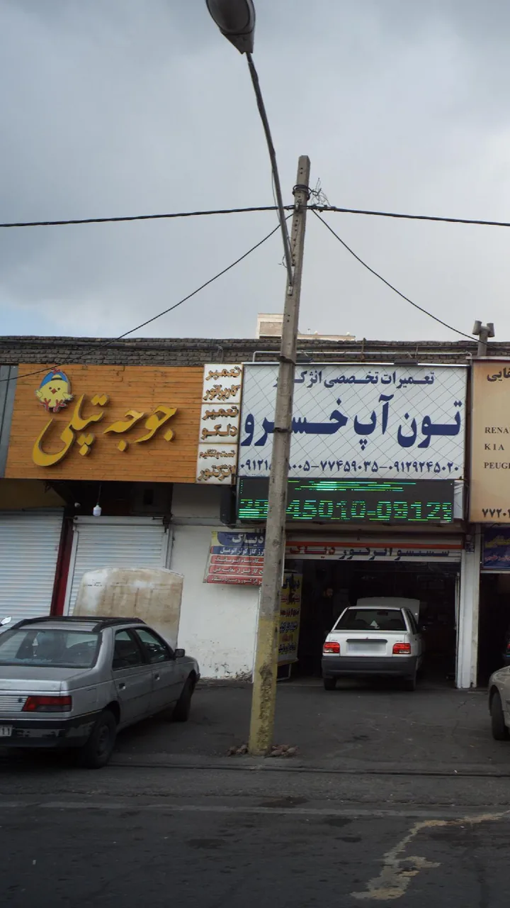 جوجه تپلی - تصویر 4