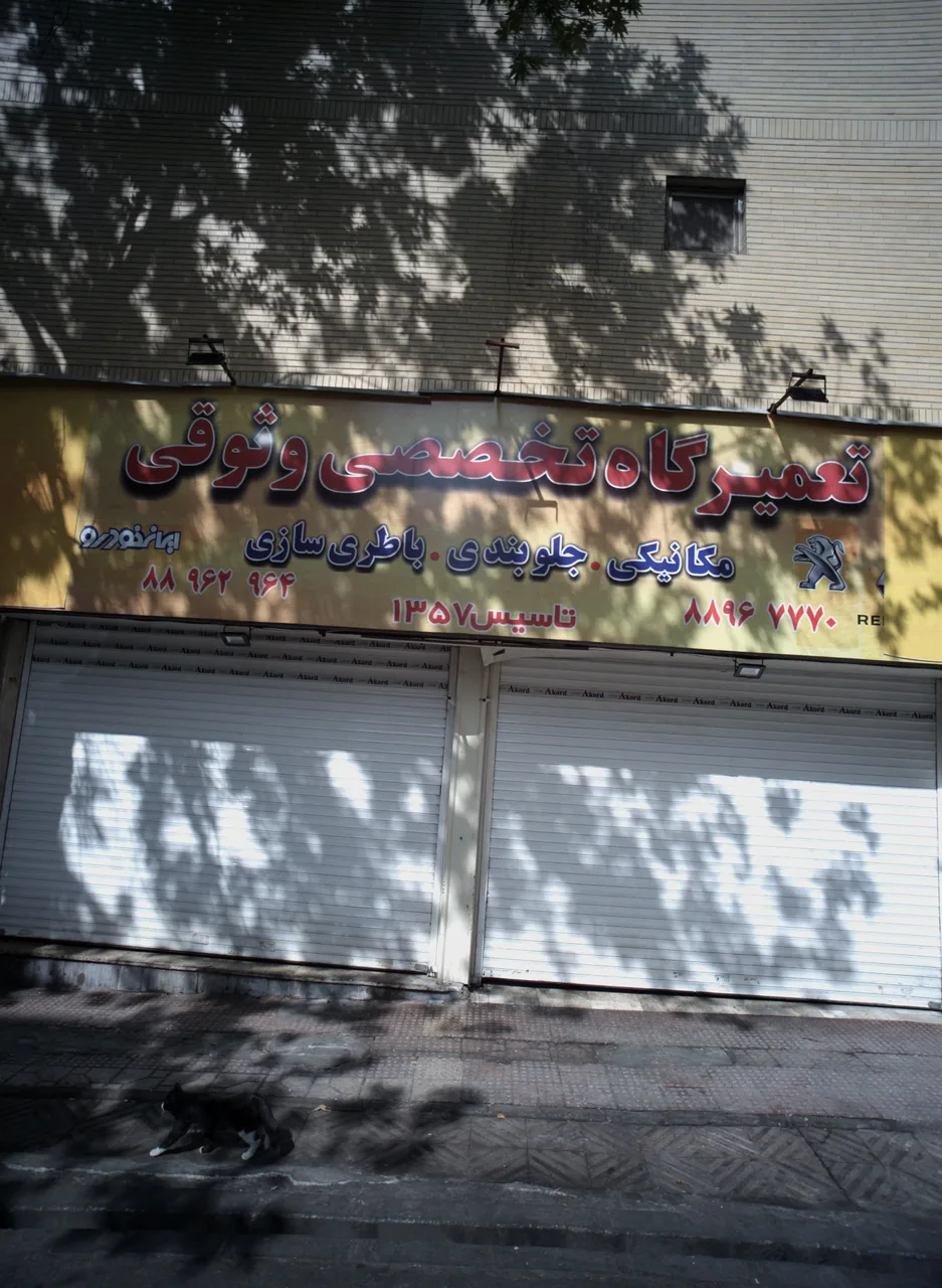 تعمیرگاه تخصصی وثوقی