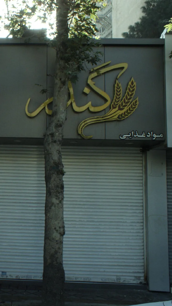 فروشگاه گندم