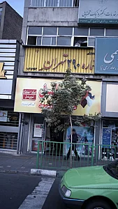 فروشگاه شیرین عسل