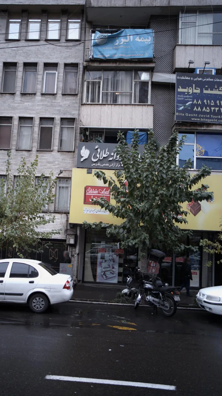 نمایندگی شیرین عسل