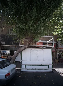 شیرینی فروشی