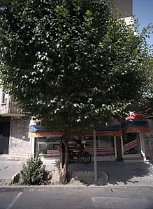 شیرینی فروشی