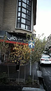 خشکبار و عسل معلمی