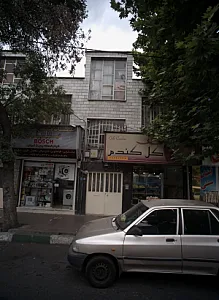 گل گندم