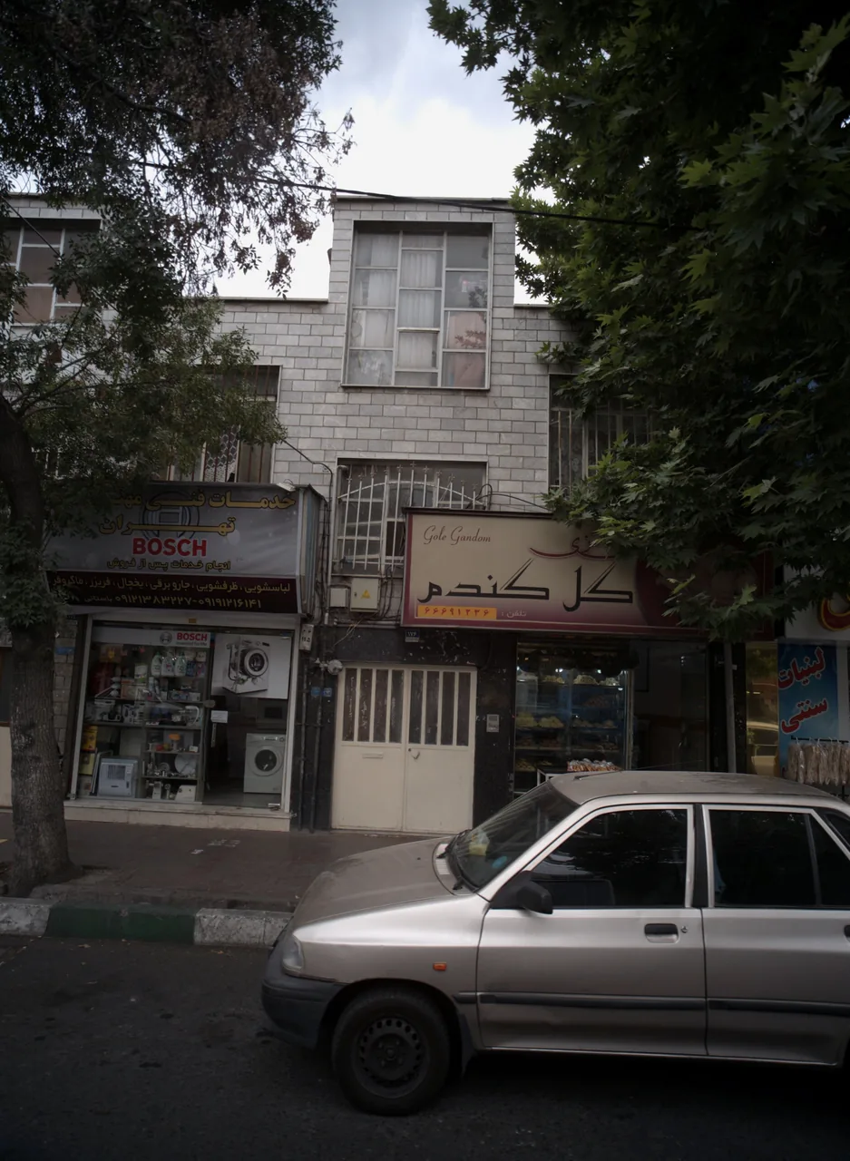 گل گندم
