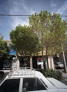 شیرینی سرای شکوفه