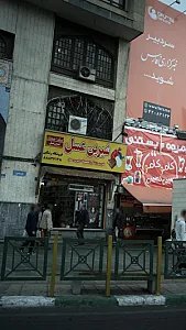 فرش رشکین