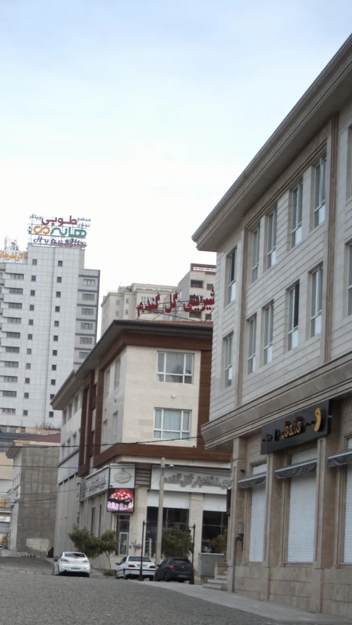 شیرینی وخشکبار گل گندم