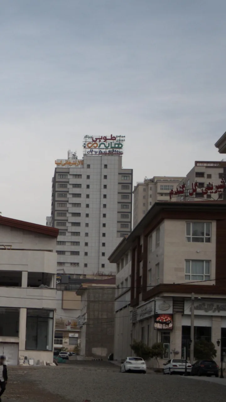 شیرینی وخشکبار گل گندم - تصویر 2