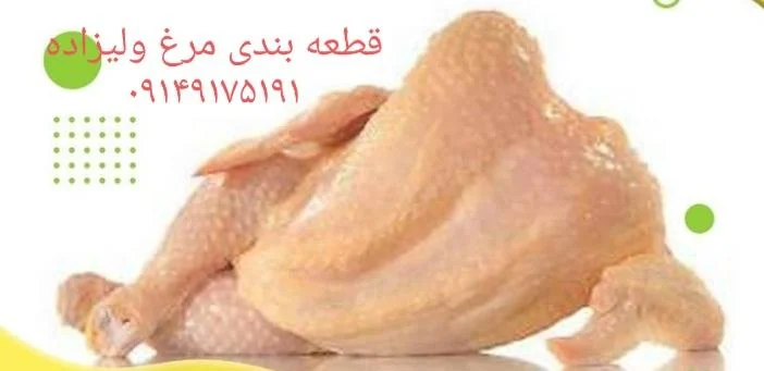 مرغ فروشی داودولیزاده