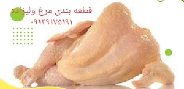 مرغ فروشی داودولیزاده