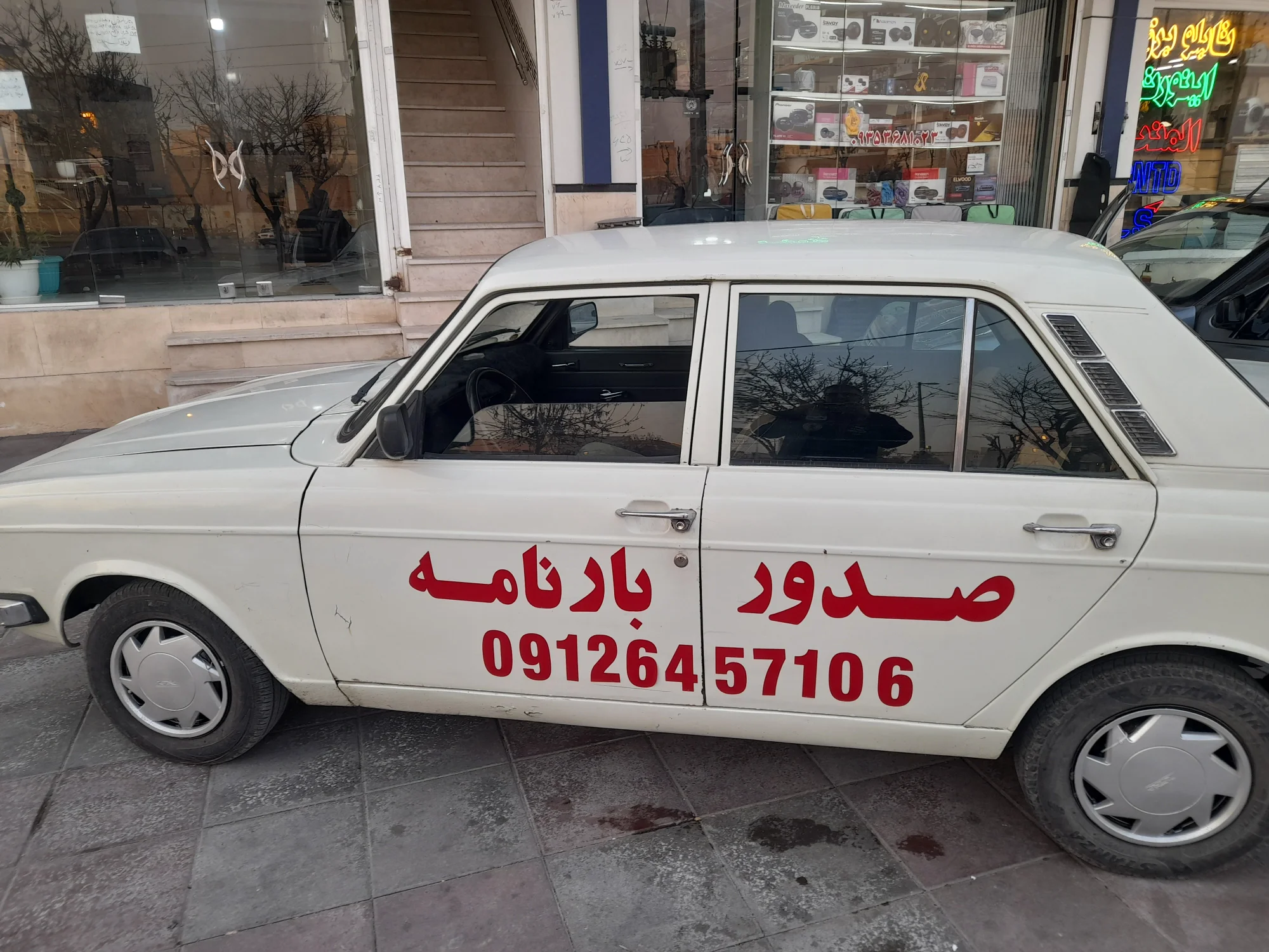 باربری نایاب - تصویر 5