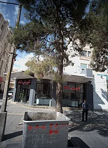 شیرینی تاک