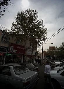 شیرینی بهارک