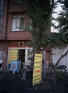 شیرینی عاج