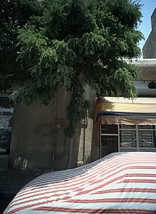 شیرینی فروشی