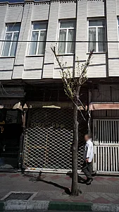 موبایل 2002