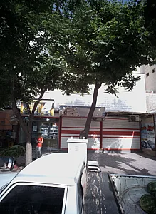 موبایل محسن