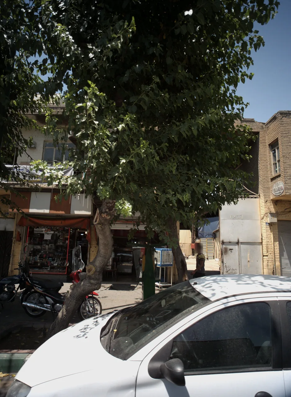 فروشگاه تلفن ملکان