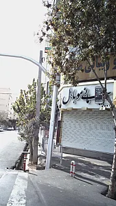 موبایل مانی