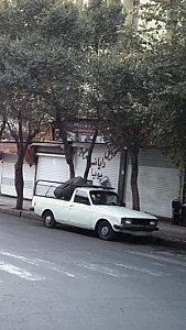 موبایل و کامپیوتر رایانسل پویا