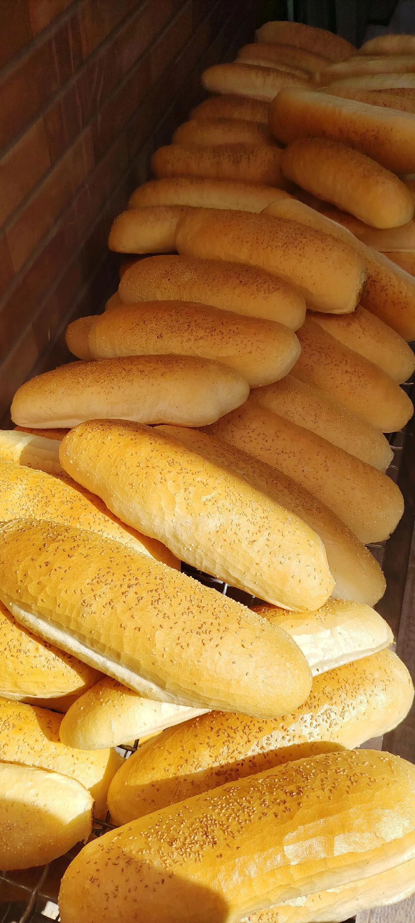 نان فانتزی و پروتئینی پاستور