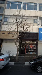 موبایل امیر