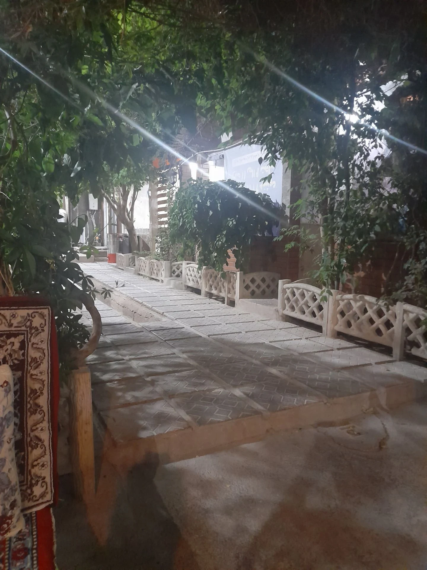کمپ روز نو