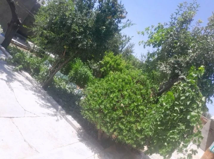 کمپ روز نو - تصویر 2
