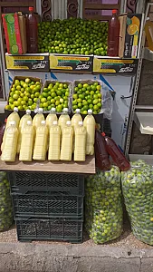 حمیدرضا شریفی