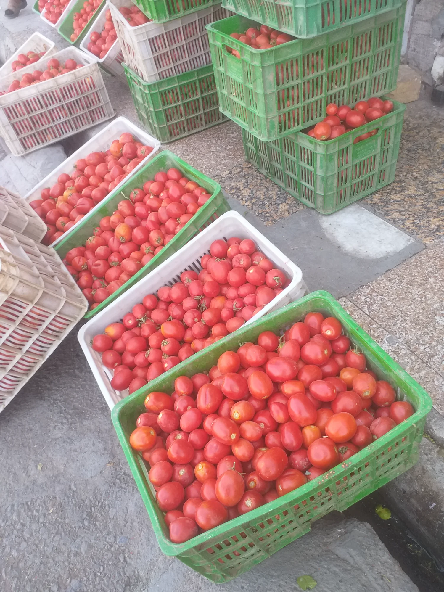 حمیدرضا شریفی - میوه و تره‌بار در قم - تصویر 2