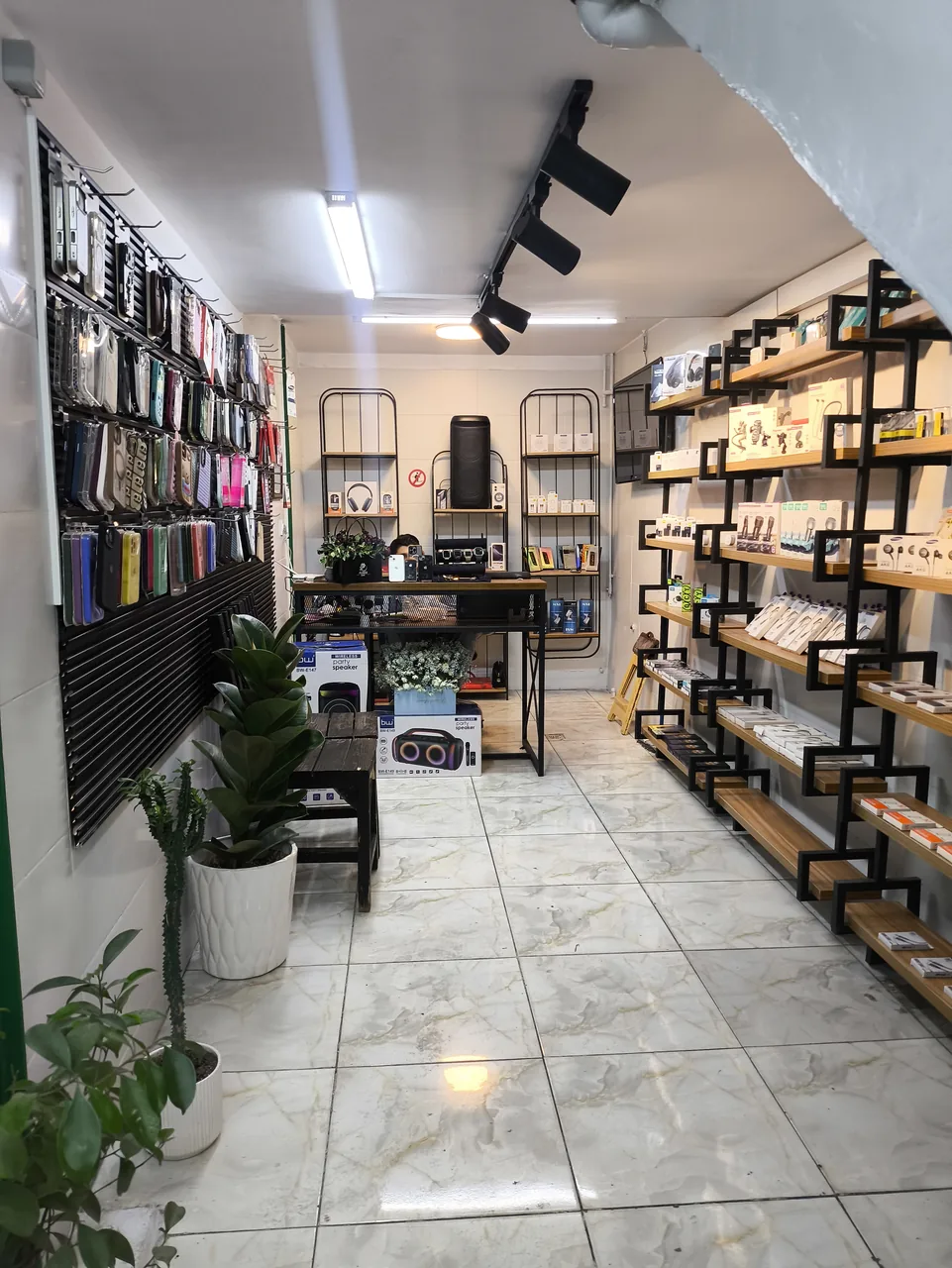 آری فون