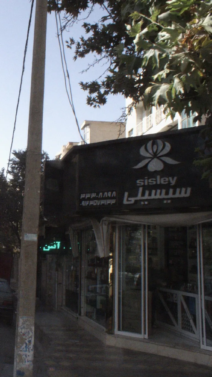 سیسیلی