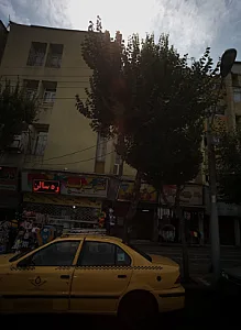 کاظمینی زاده