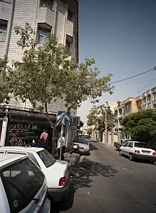 گلپایگانی