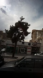 فروشگاه موبایل آریانا